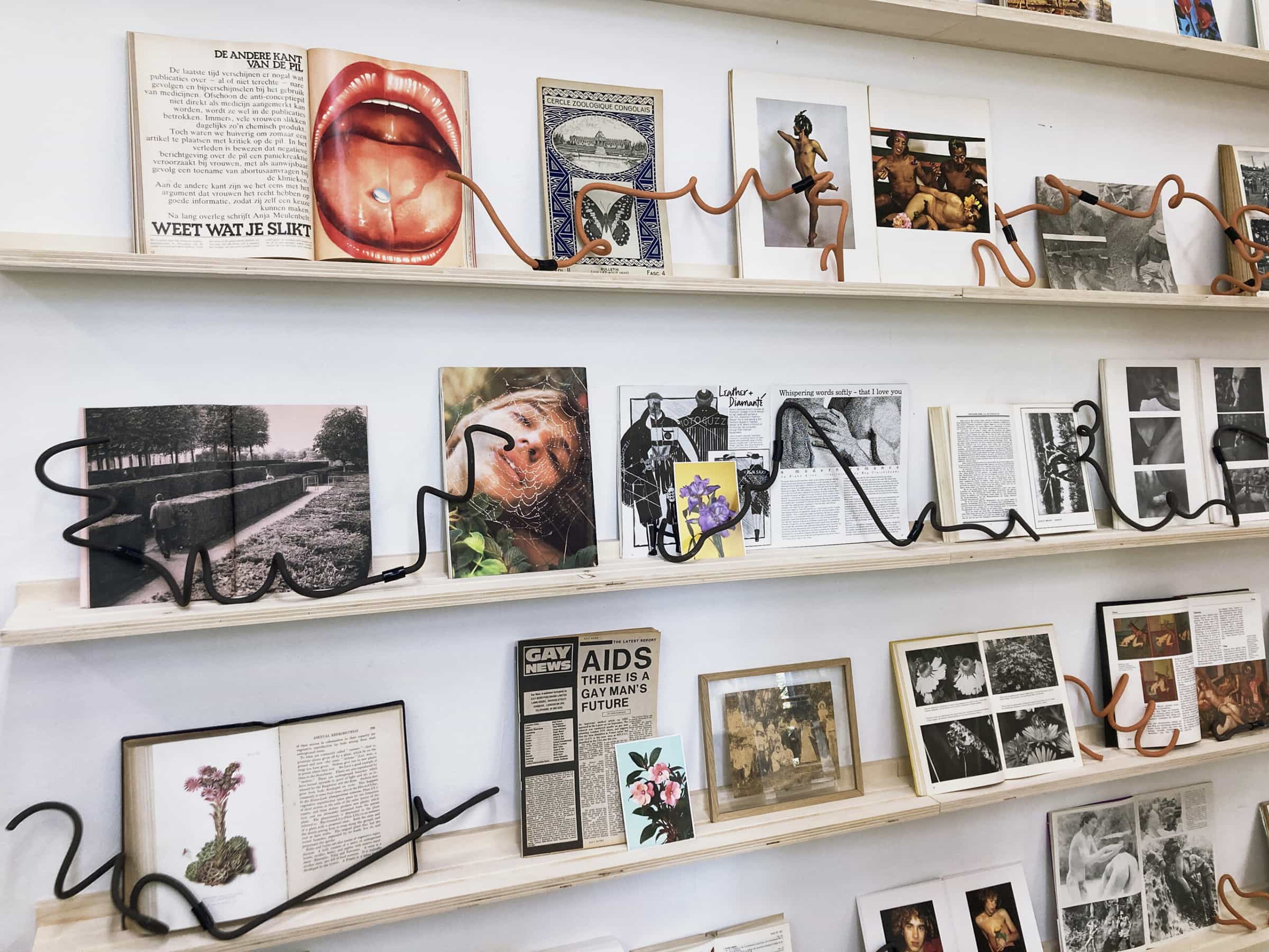 Amator Archives: On Queer Reproduction